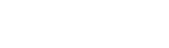 Domolandes Digital Lab logowhite